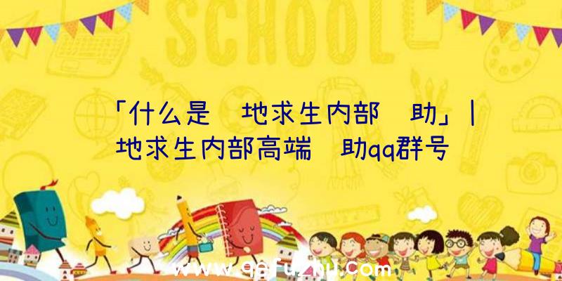 「什么是绝地求生内部辅助」|绝地求生内部高端辅助qq群号